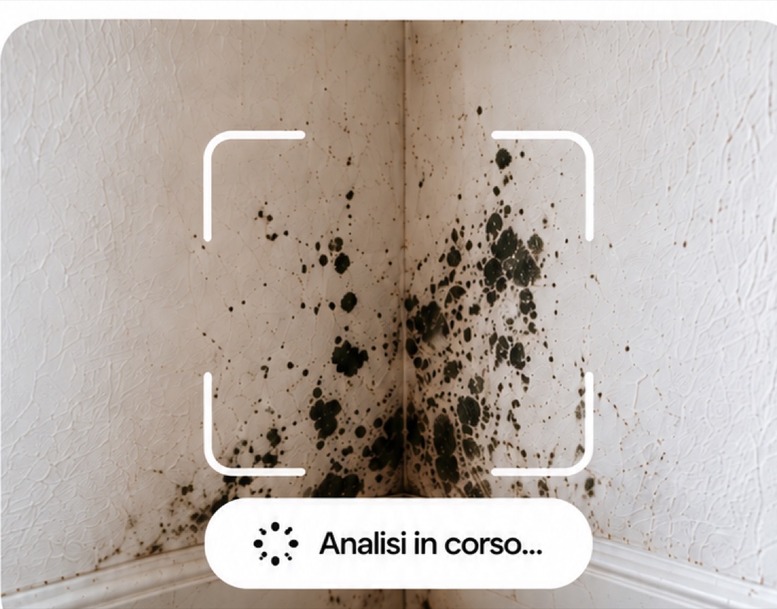 Inquadratura di un angolo con muffa nel mirino dell’app